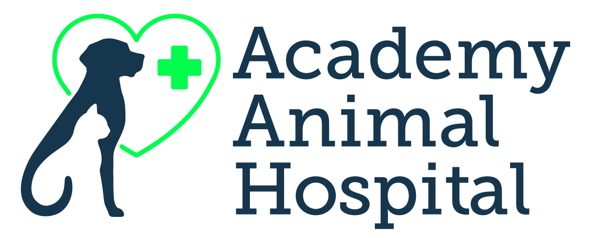 Link to Homepage of Academy Animal Hospital