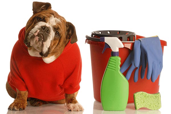 Keeping Your Spring Cleaning Pet-Friendly